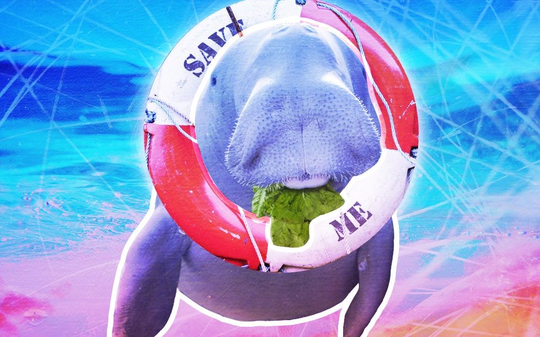 article img