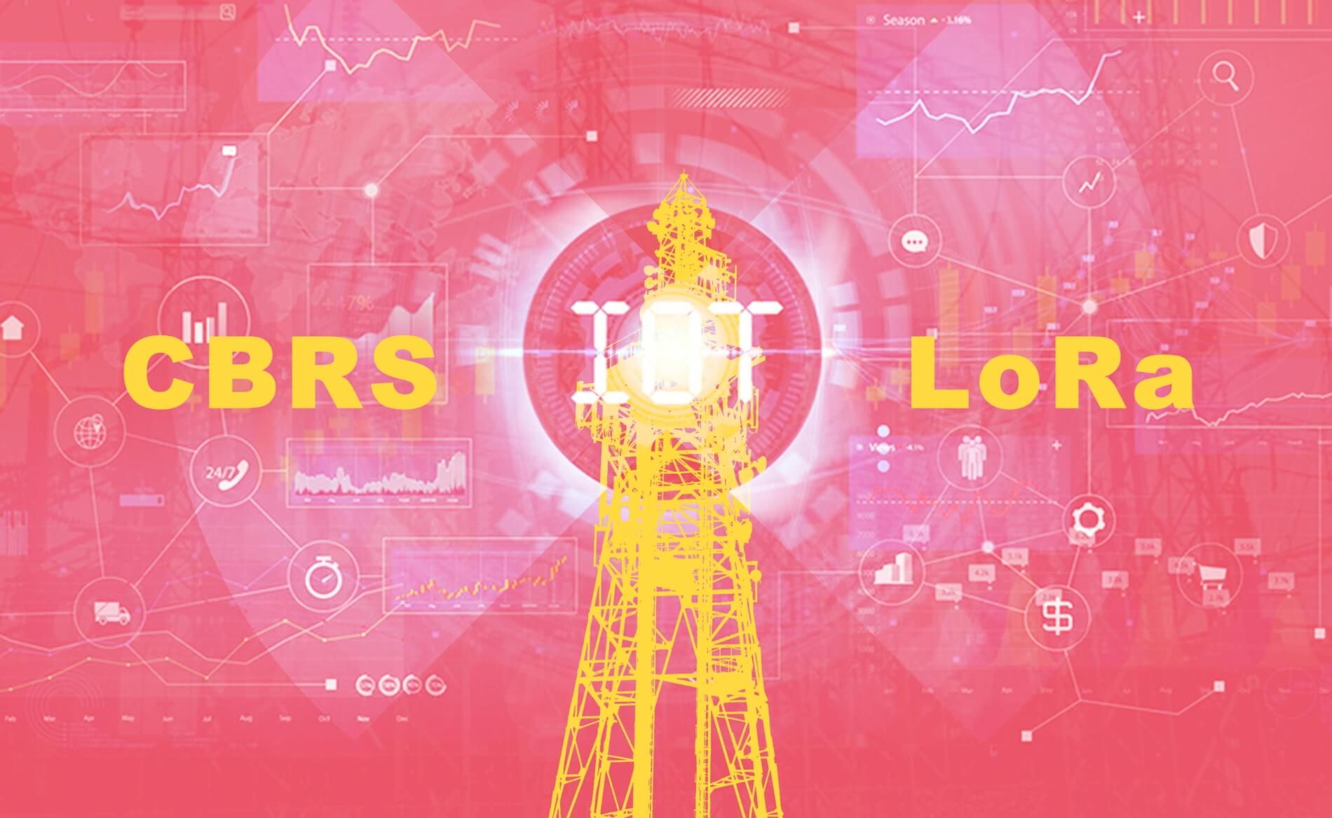 Evolving Private IoT Networks: LoRa and CBRS
